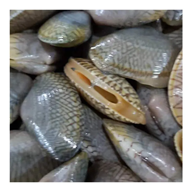 Свежие морепродукты, моллюски