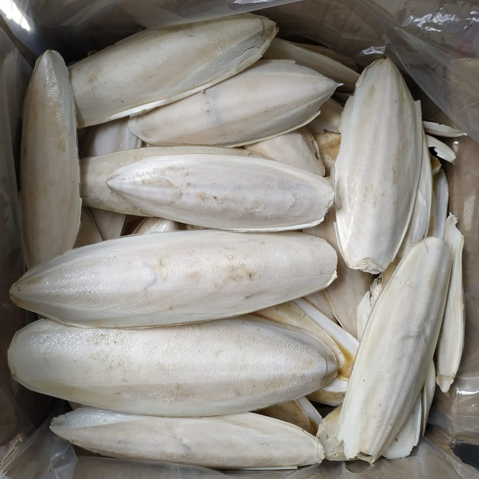 Шлепанцы