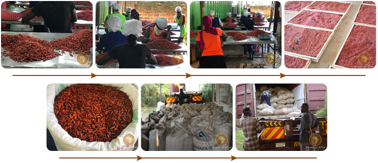 Best Quality Dried Africa Bird Eye Red Chilli from Trusted Supplier