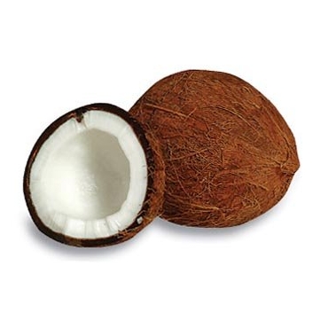 Fresh mature coconut in bag Fresh newly harvested made in Viet Nam Phytosanitary Certification Fresh Coconut for SALE