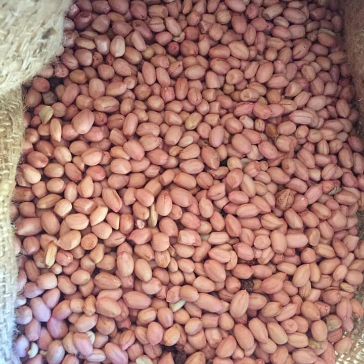 Молотый орех красная кожа арахис, Сырой Очищенный арахис, свежий арахис