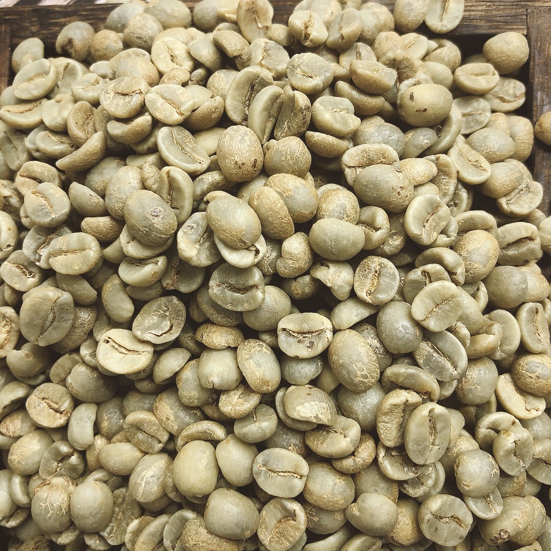 Raw arabica coffee beans green Vietnamese exporter with S13, S14, S16, S18 and 2kg ready for shipping