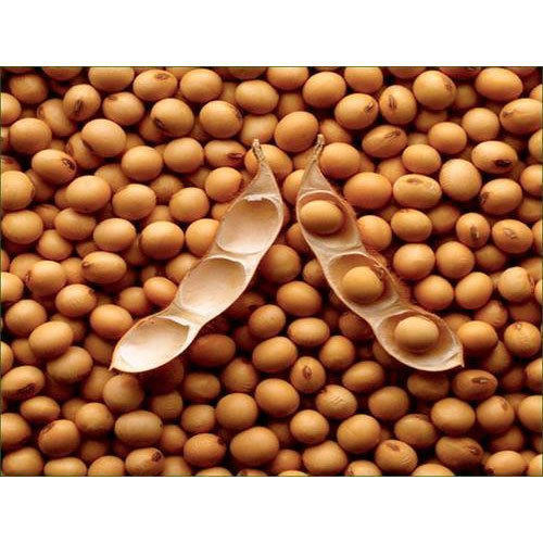 Оптовая продажа соевых продуктов для сельскохозяйственной продукции с высоким уровнем безопасности