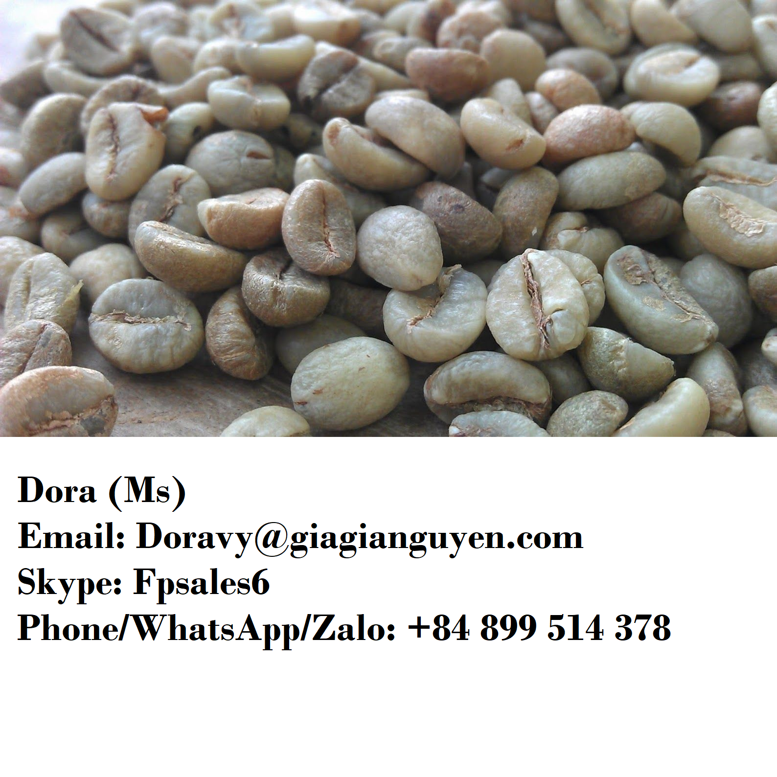 КОФЕ ROBUSTA из Вьетнама