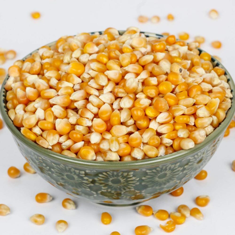 Сухая желтая кукуруза для корма для животных для продажи по низкой цене