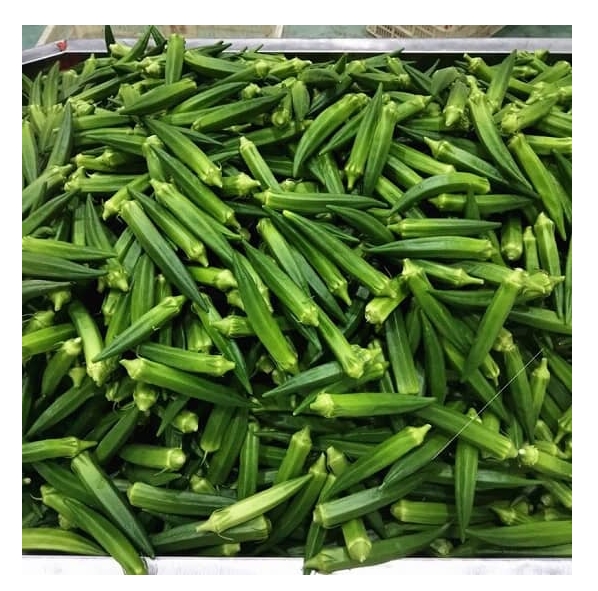 100% свежие овощи Okra 100% Премиум качество органические дамские пальцы/свежие Окра экспорт сделано во Вьетнаме коробка упаковка