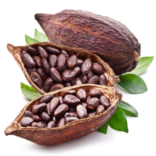 Cocoa Beans / 100%High Quality Cocoa from Peru