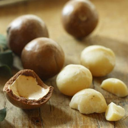 Premium Grade Raw Organic Macadamia Nuts
