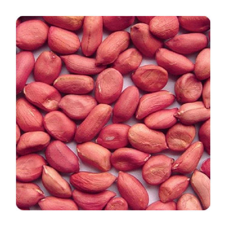 Long blanched peanuts for sale affordable price