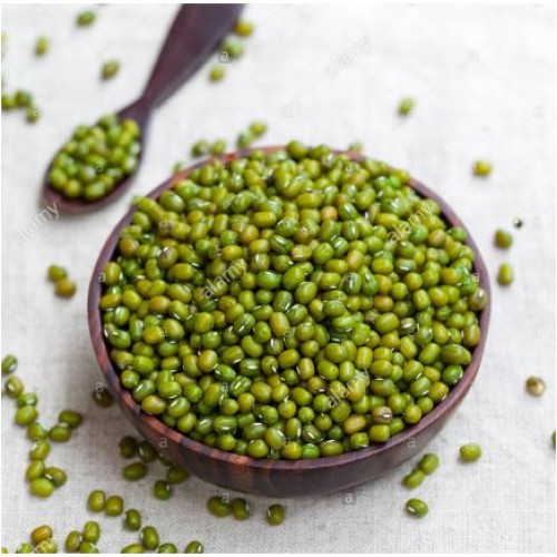 Wholesale Small Green Gram Vigna Bean Mung Beans In Bulk