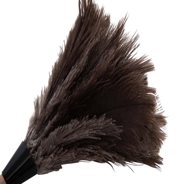 ostrich feathers for WEDDING