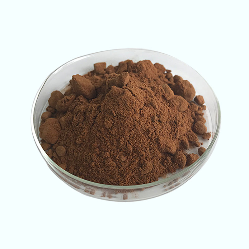 Manufacturer Natural/Alkalized Cocoa Powder Price