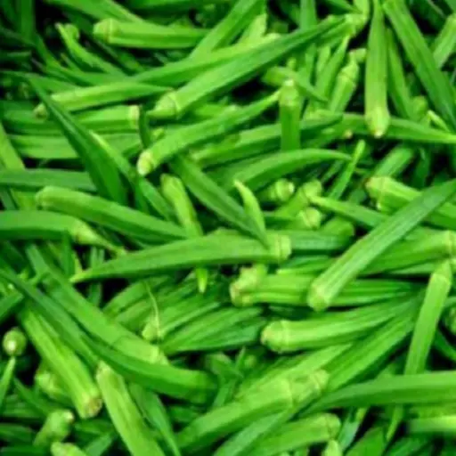 Quality Cheap Fresh Green Okra/Okro For Sales Hot sales