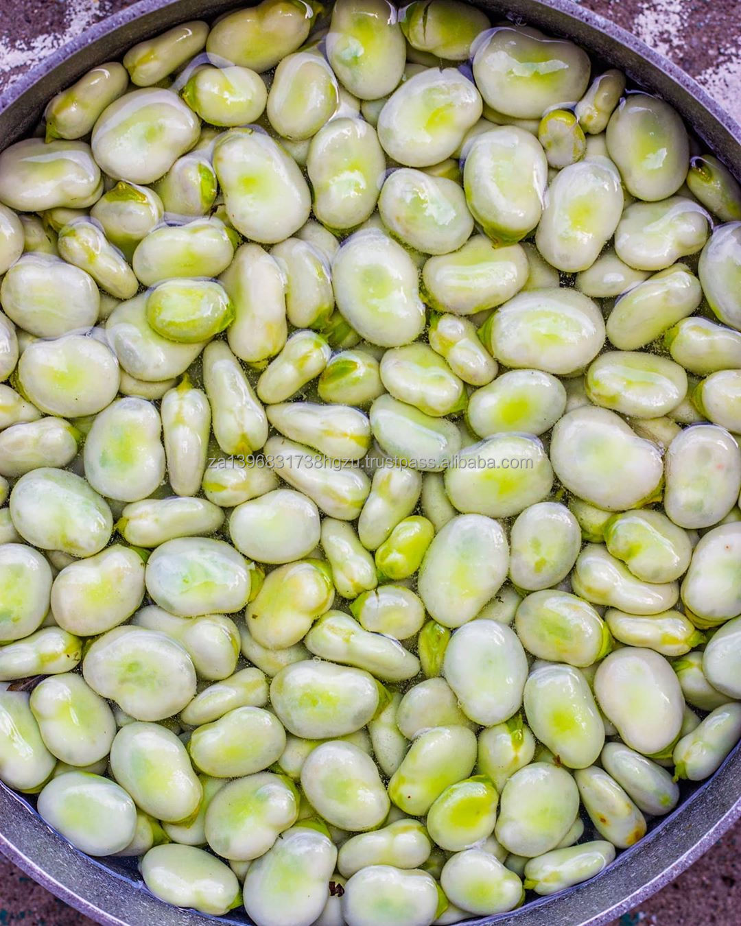 Quality Grade One fava beans