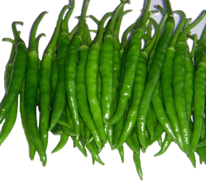G4 Chilly/Indian Green Chilly/Fresh Vegetables