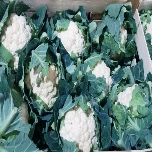 Add to Compare Share HIGH Quality Fresh Cauliflower Wholesale From Thailand