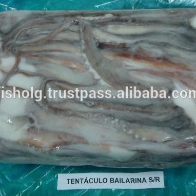 Frozen raw giant squid tentacles
