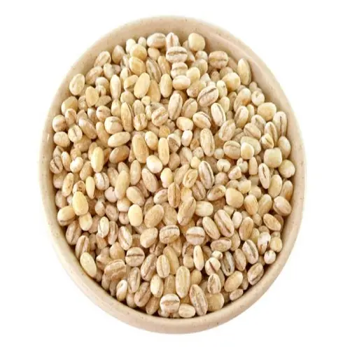 Quality Ukrainian Barley/ Barley feed/human consumption