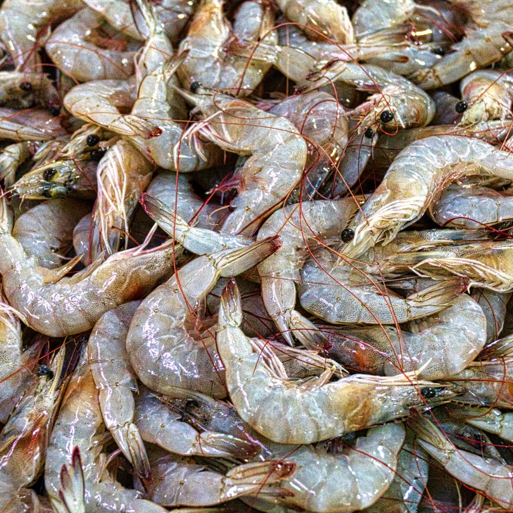 Морепродукты марки MiCAN FOOD, свежие замороженные белые креветки из малайзии