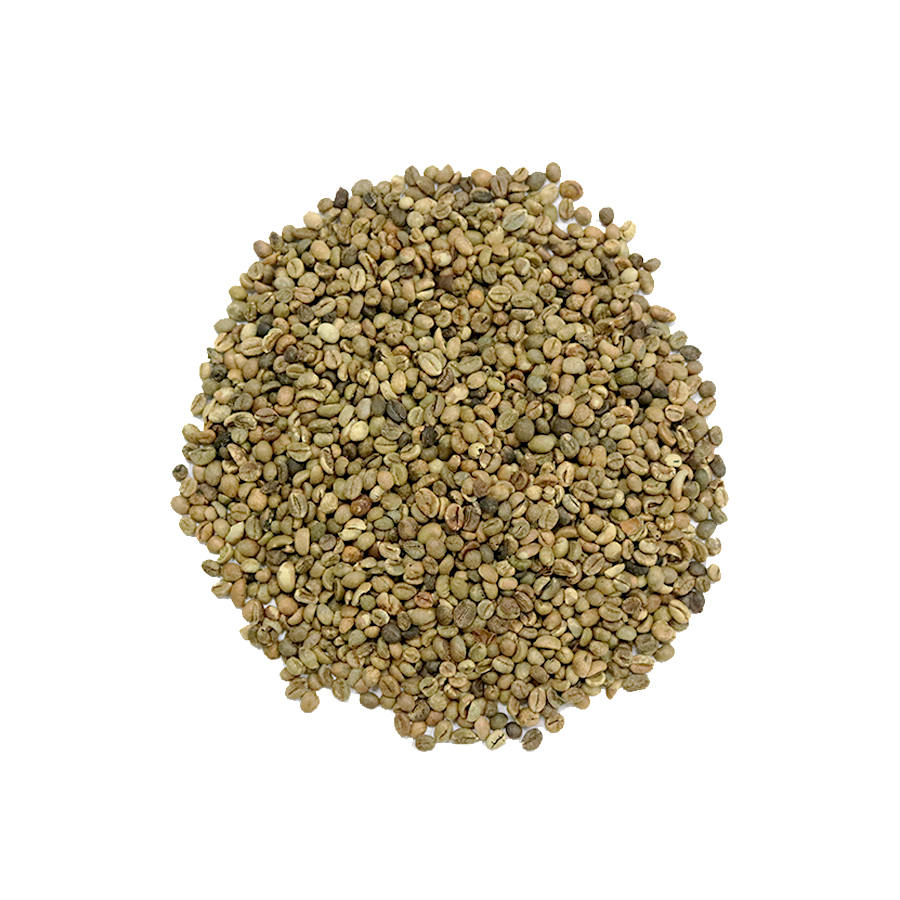 Зеленые кофейные зерна Robusta, Лучшая цена, пакет кофейных зерен, небольшой заказ, принимаются целые зерна кофе