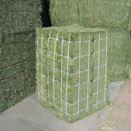 High Quality Animal Feed Alfalfa Hay ....