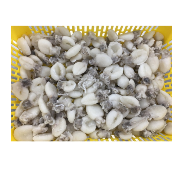 Nutritious Frozen Cuttlefish Whole Round Cleaned Cuttlefish for Sale
