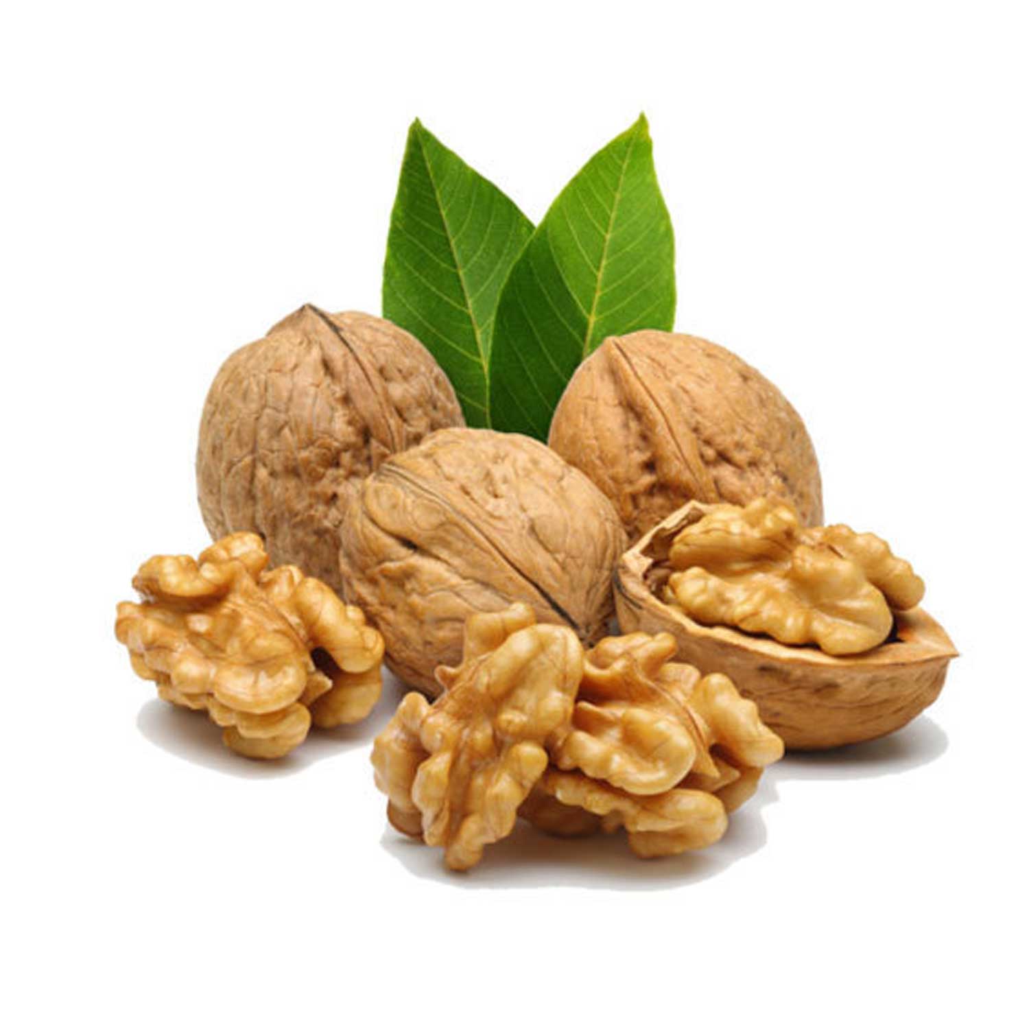 Walnuts Hot Sales Fresh Healthy Food Top Quality Bulk Large Size Raw Walnuts Kernels