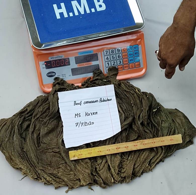 Omasum/ ox gallstones and Omasum exporter from Pakistan
