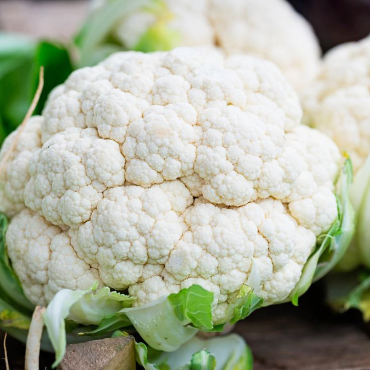 High Quality Fresh Cauliflower Available