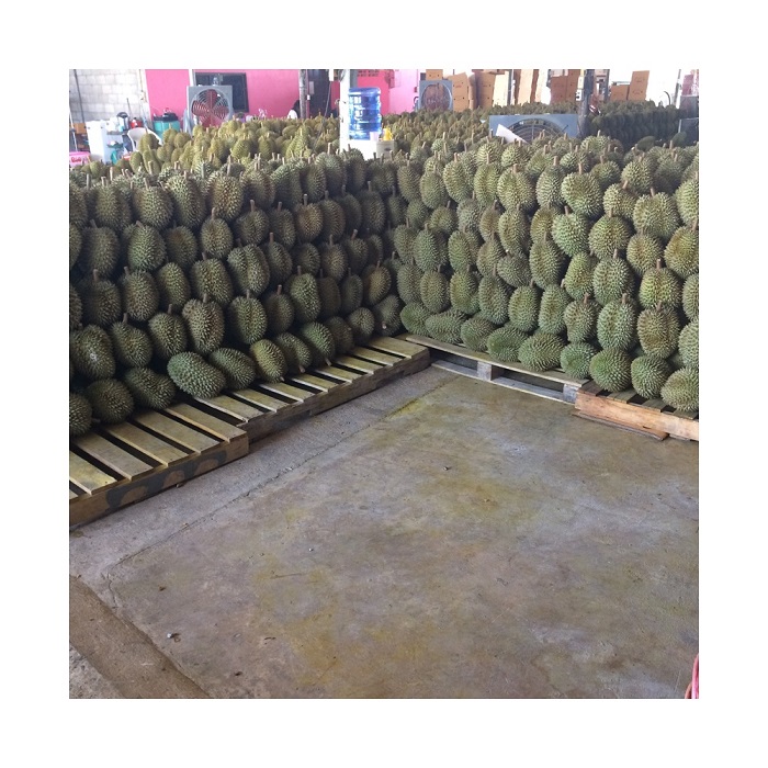 Fresh Musang King Durian