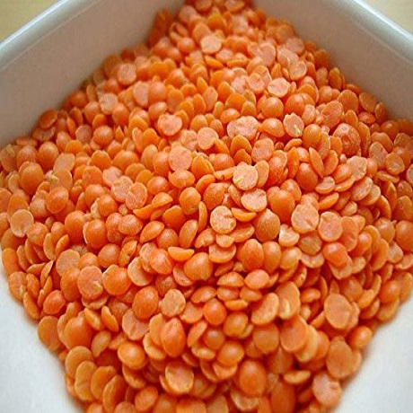 Canadian Green Lentils/ Red Lentils Wholesale