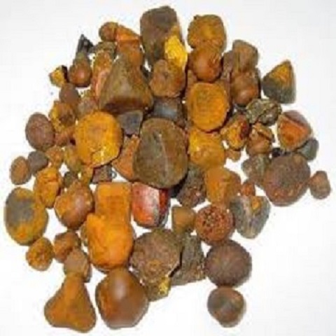 Купить корова галл камни/Ox желчные камни на продажу