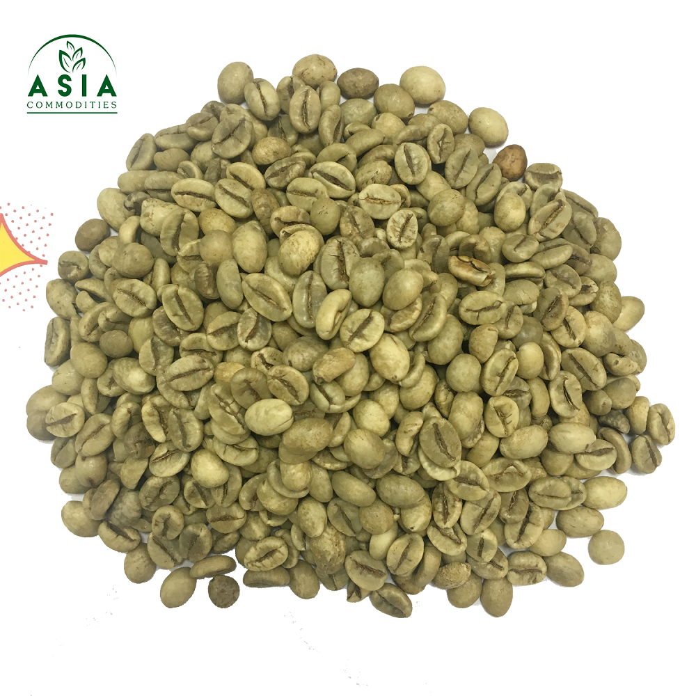 Кофе-экран Robusta 18 с влажной полировкой, вьетнамские кофейные зерна, самая конкурентоспособная цена