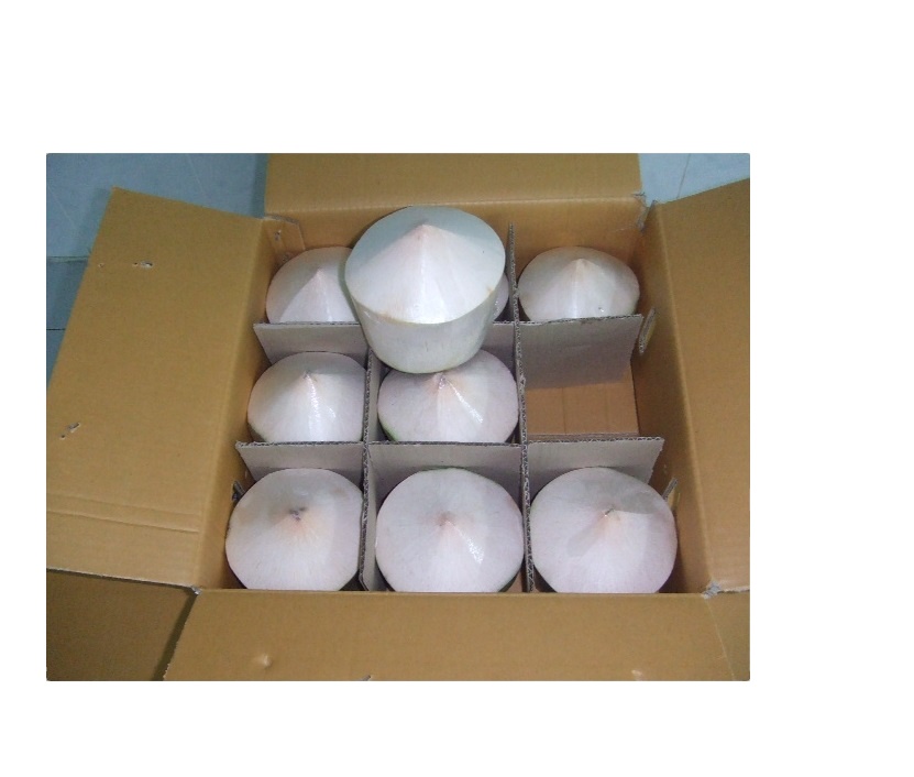 Fresh young coconuts