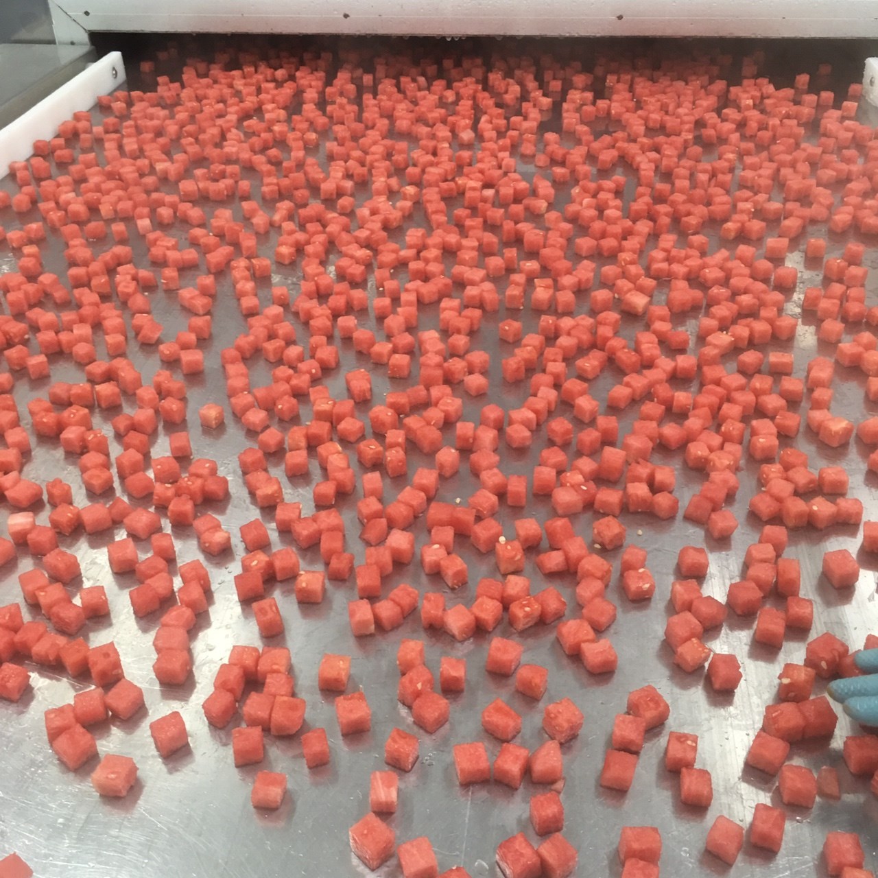 Frozen Watermelon cubes