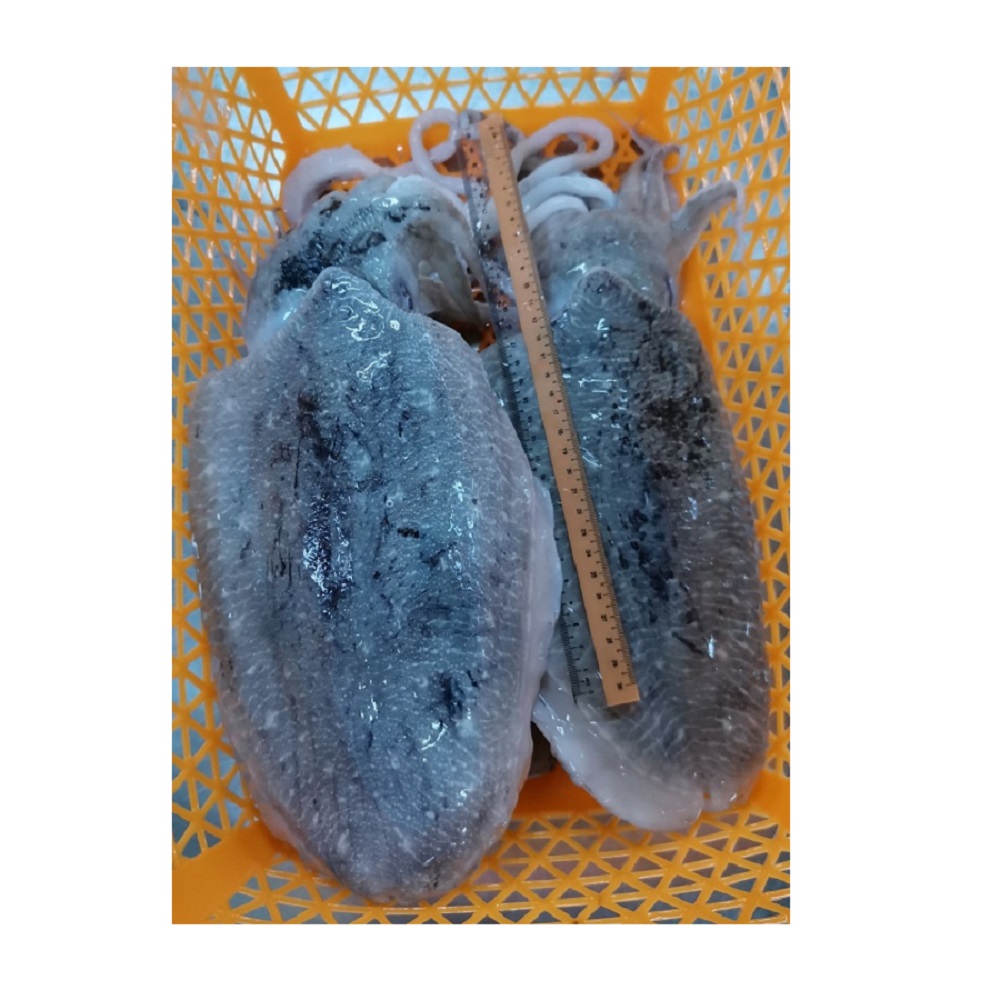 Малазийские морепродукты, замороженная цельная круглая морская рыба на 2 года, срок годности с высоким классом, Лучшая цена