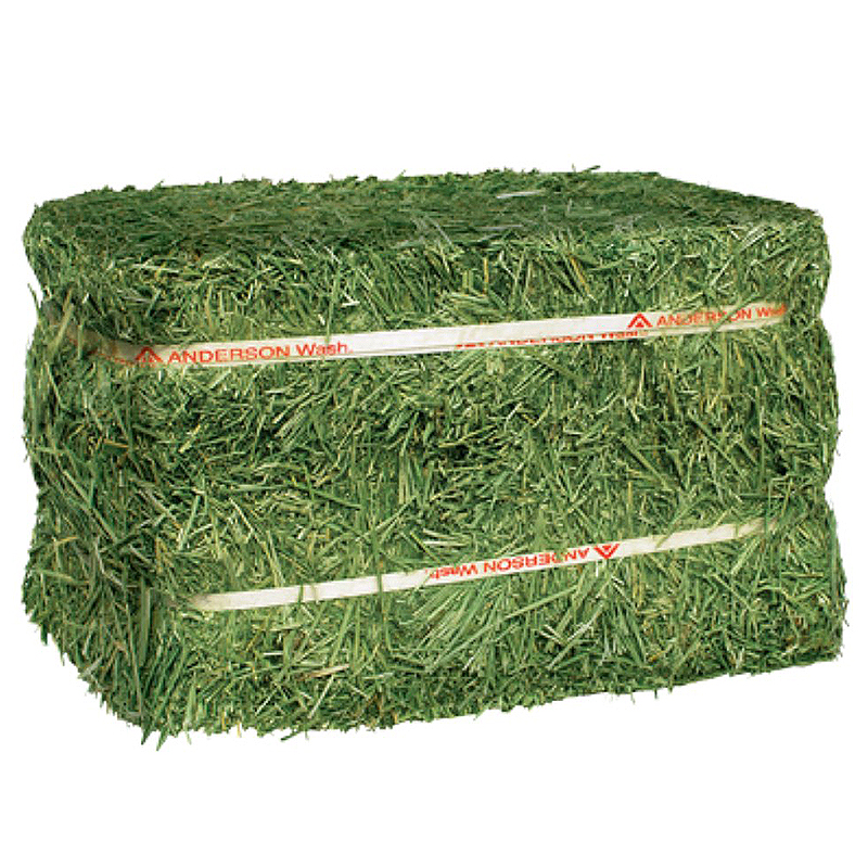 Alfafa Hay Best Selling Alfalfa Hay/Alfalfa Hay For Animal feeding