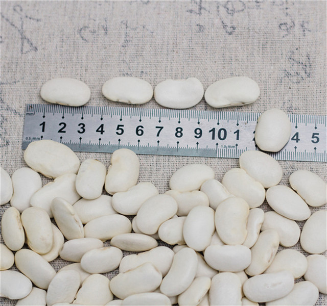 butter beans