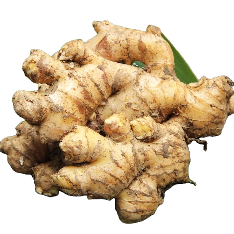 Fresh Fat Gingers Good Selected, Fresh/Air Dried Yellow Ginger.