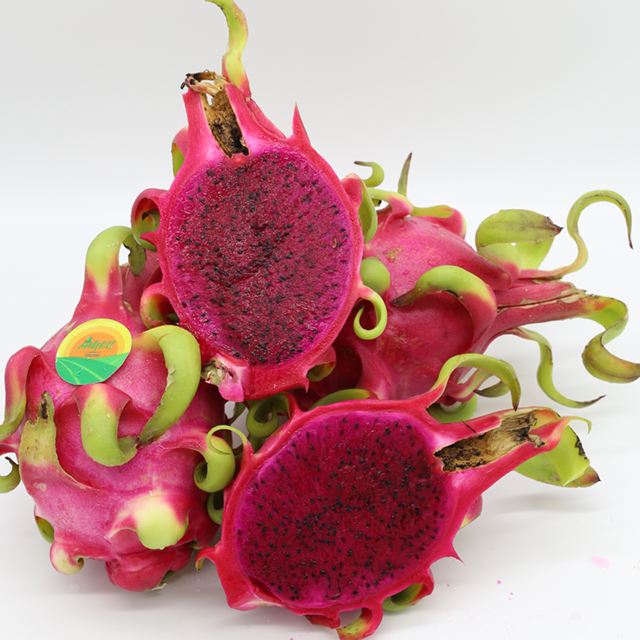 FRESH DRAGON FRUIT - 100% NATURAL