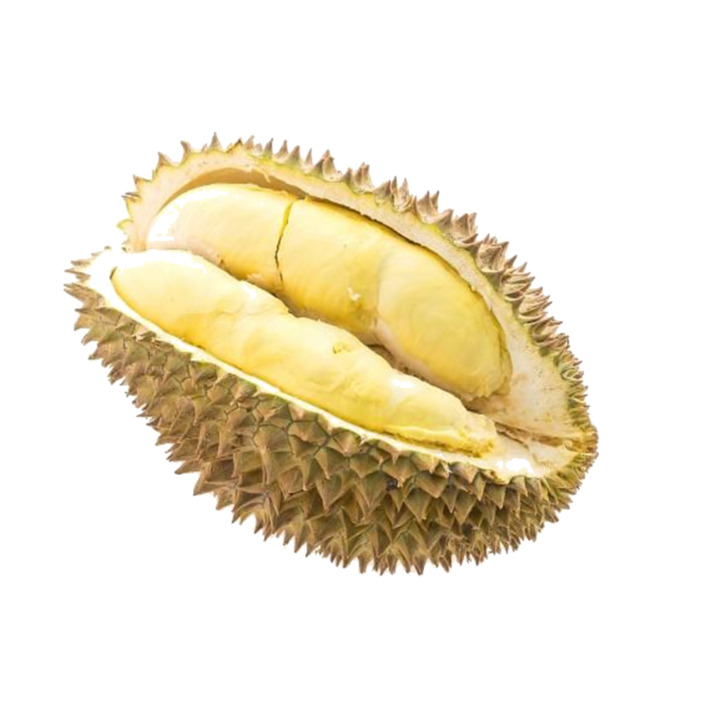 The Best Fresh Durian Monthong Golden Pillow From Thailand Durian Meat Per Pack