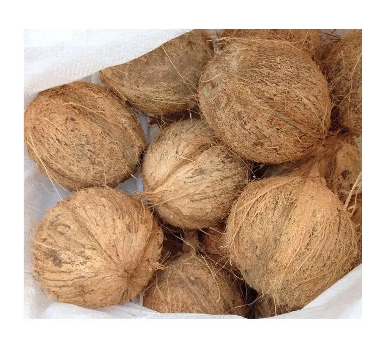SEMI HUSKED COCONUT FROM VIETNAM WITH BEST PRICE HIGH QUALITY//Rachel: +84896436456 99 Gold Data
