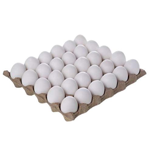 Fresh Chicken Table Eggs-Fertilized Hatching Eggs, White and Brown Broiler Chicken Eggs