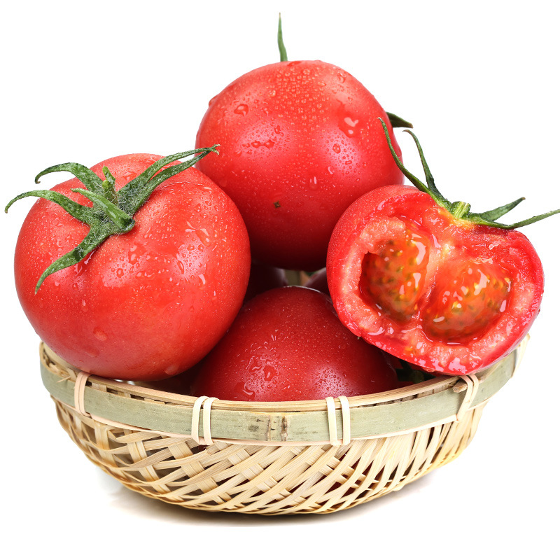 FRESH FARM HARVESTED TOMATOES FOR SALE