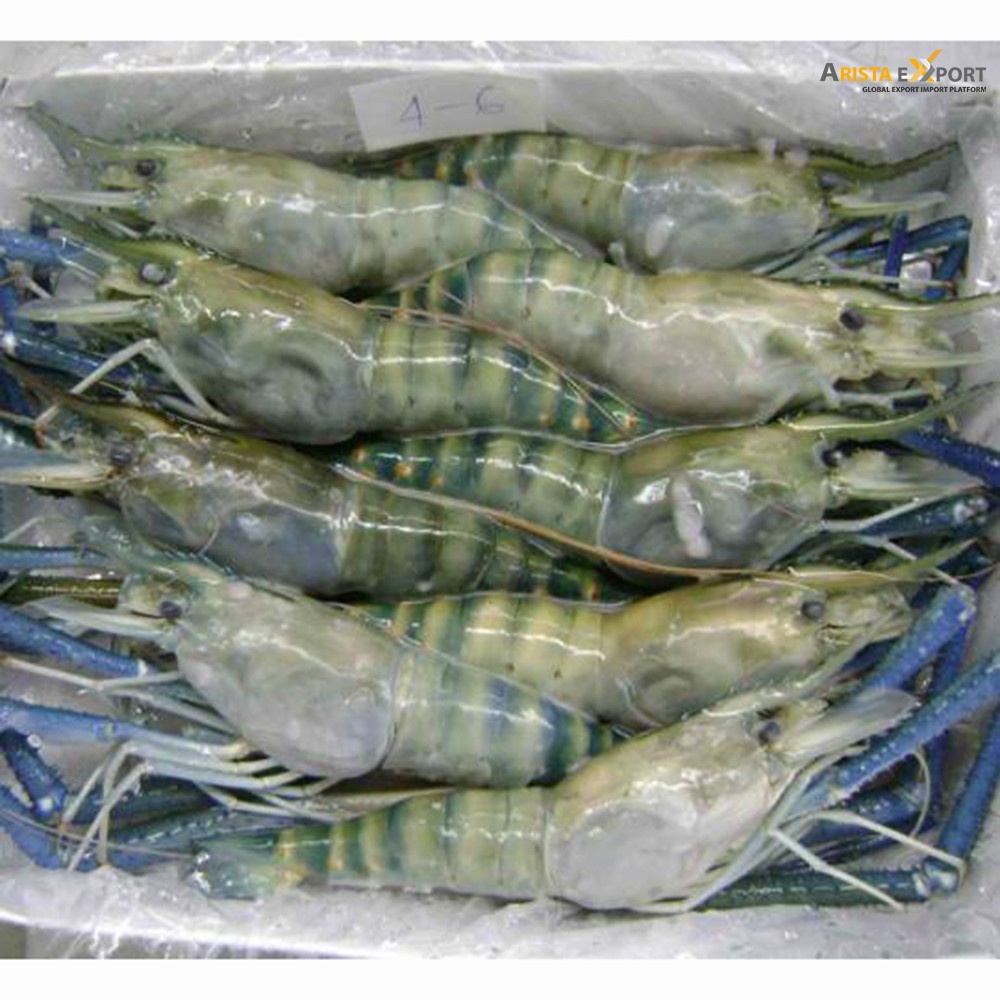 Голова-на, Shell-on HOSO Semi IQF сырые замороженные морепродукты черные тигровые креветки