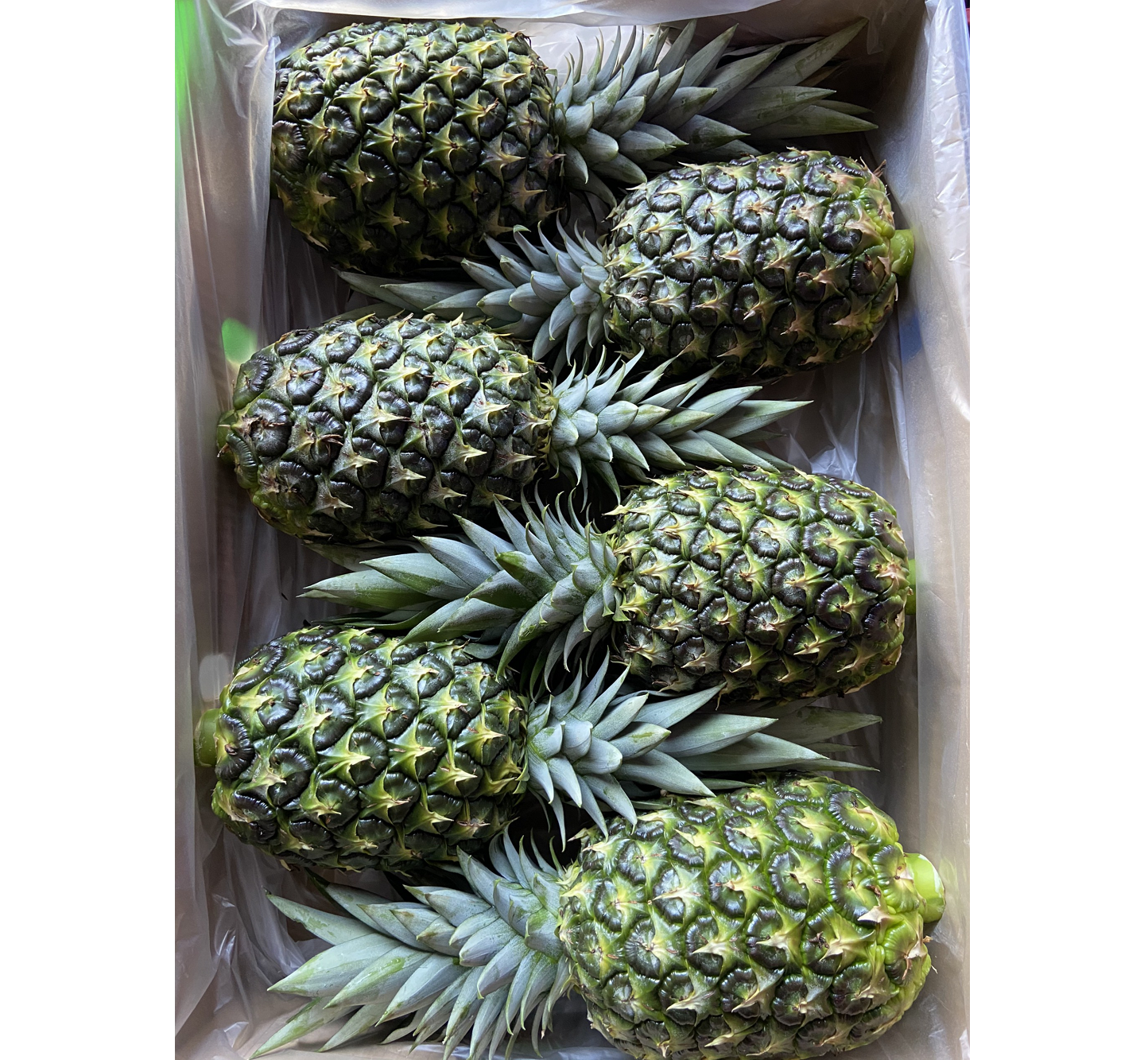 Fresh Pineapples Vietnam Pineapple Quaranteed Fresh and Sweet