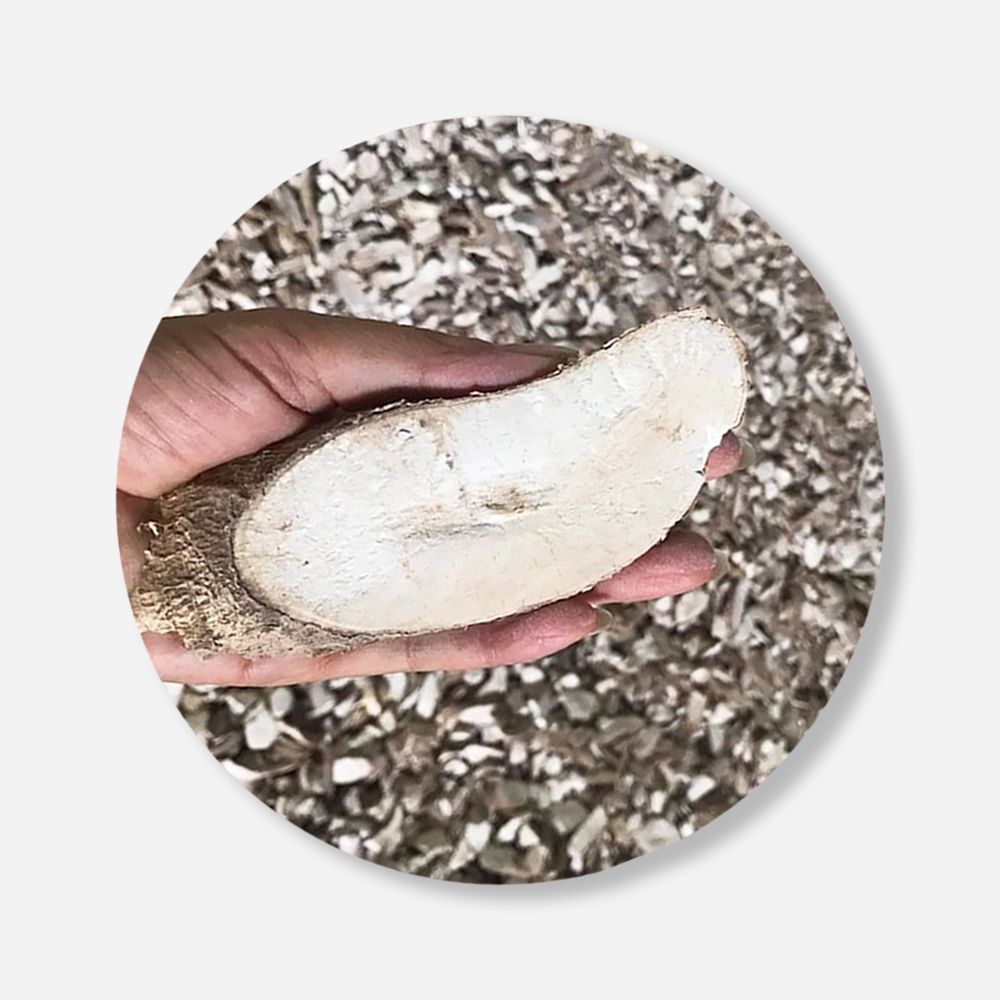 Dried Cassava Chips For Food Industry or Making Animal Feed and Ethanol