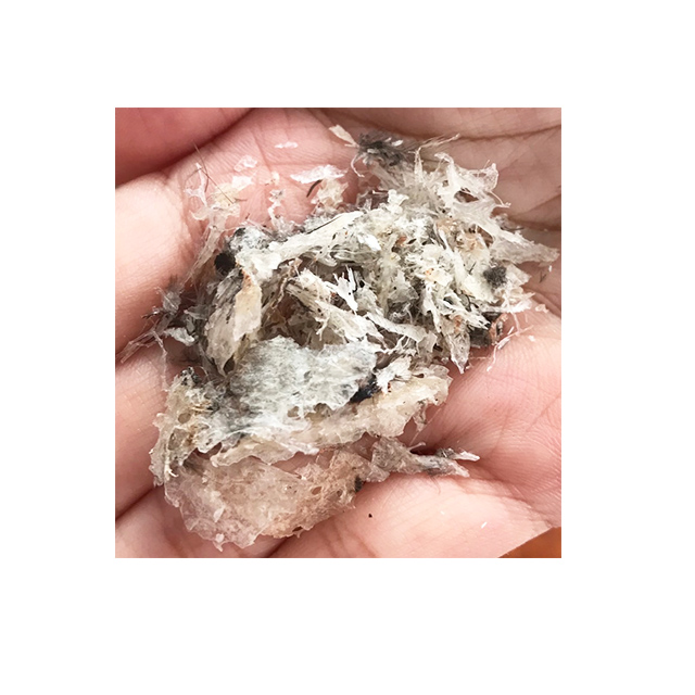 Raw Edible Bird's Nest Strips Classification ST3 10kg Healthcare Supplement Original from South Thailand for 100% Export