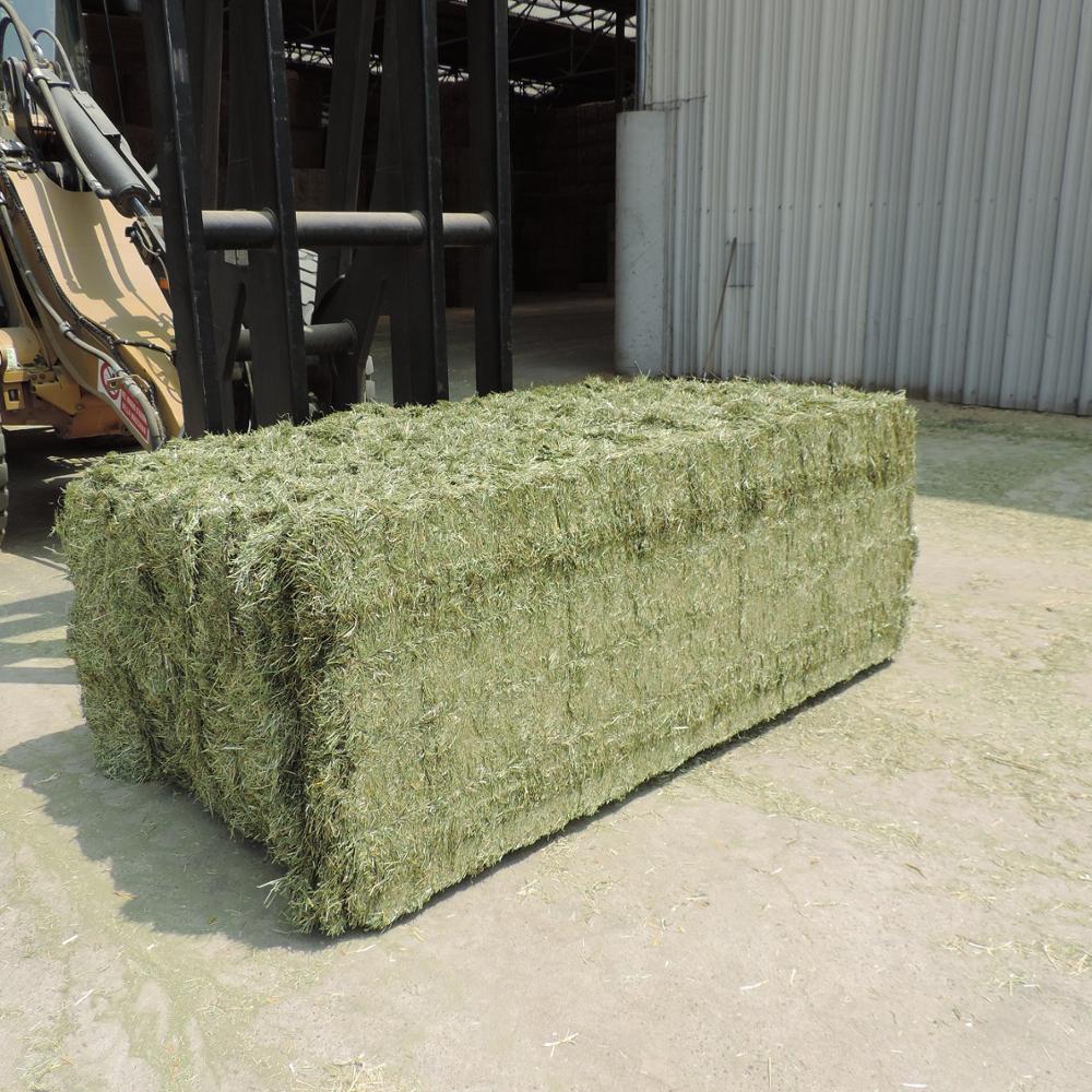 Alfafa Hay for Animal Feeding / Stuff Alfalfa hay/alfalfa hay pellets ready for export