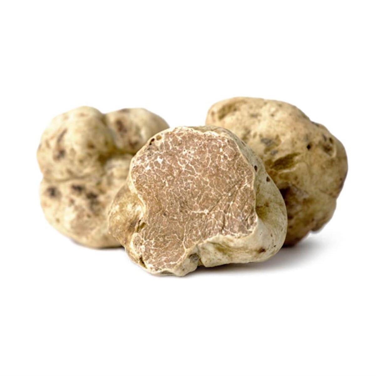 Italian Fresh white truffle Organic Food for best dishes